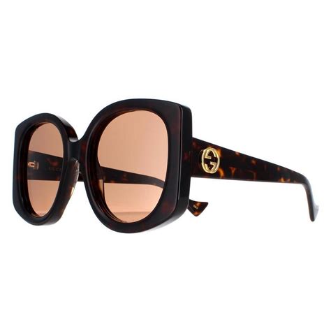 w764 53 22-145 gucci sunglasses|Gucci GG1257S Dark Havana/Brown Shaded 53/22/145 women .